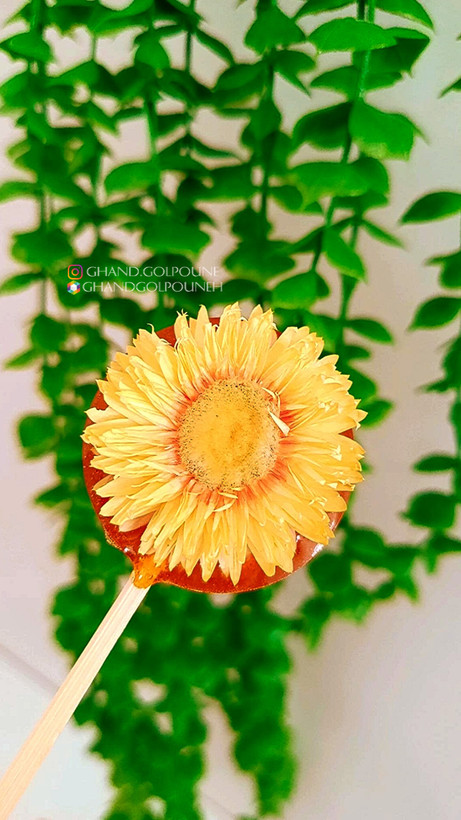 نبات چای